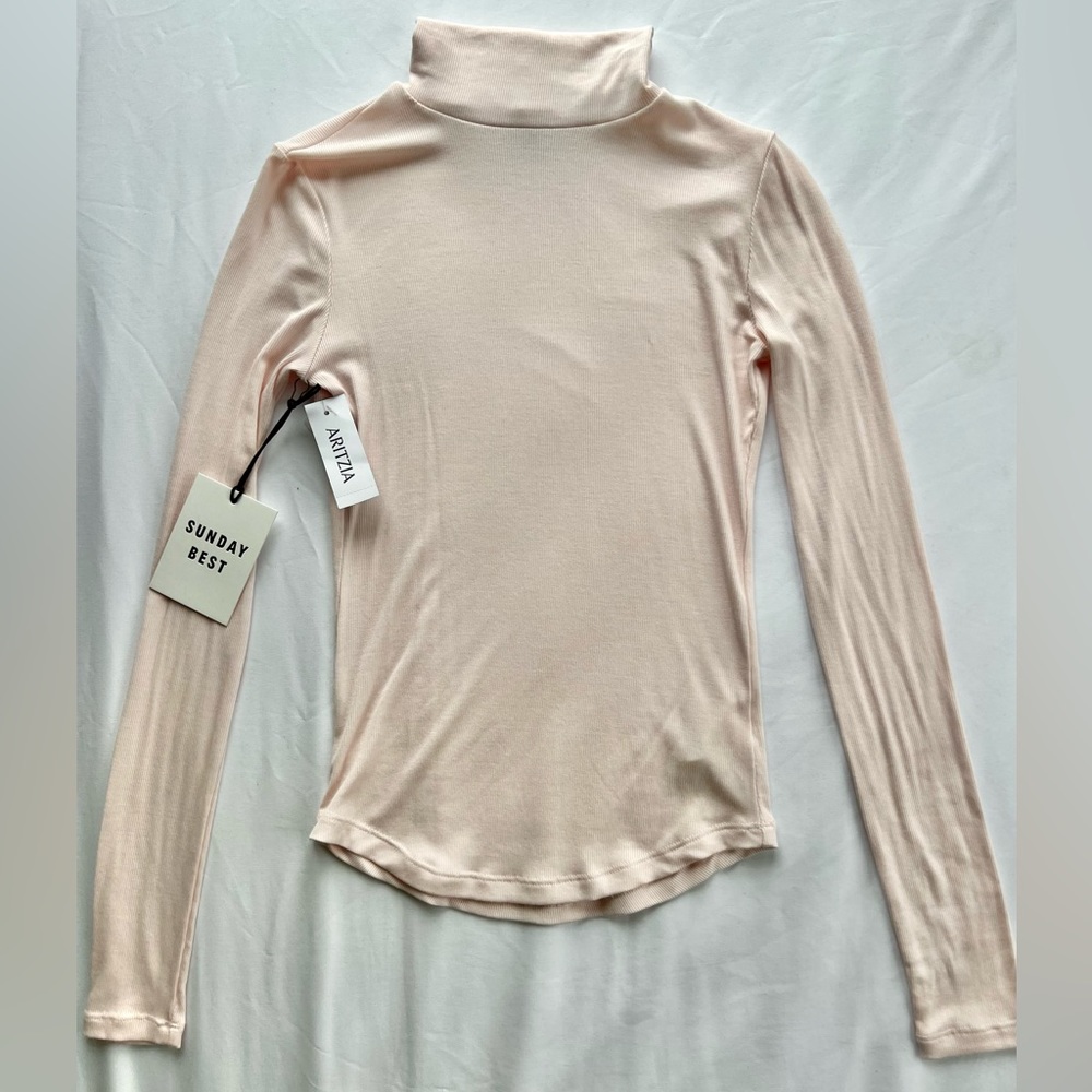 Aritzia Long sleeve turtleneck